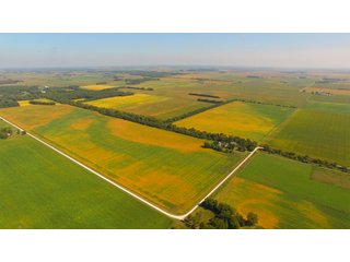 Property photo 5 - MAJOR ILLINOIS LAND AUCTION - 752.54+/- ACRES OFFERED IN 9 TRACTS IN KANKAKEE COUNTY, ILLINOIS